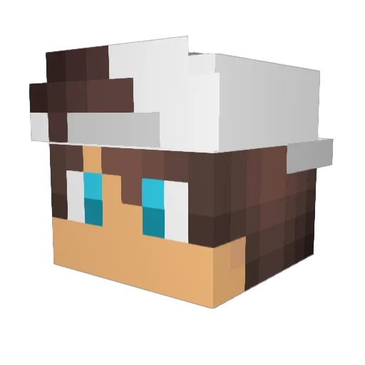 DaniMic2006 Minecraft avatar head, 3D render