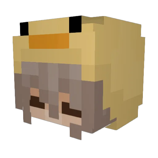DaniShiro321 Minecraft avatar head, 3D render