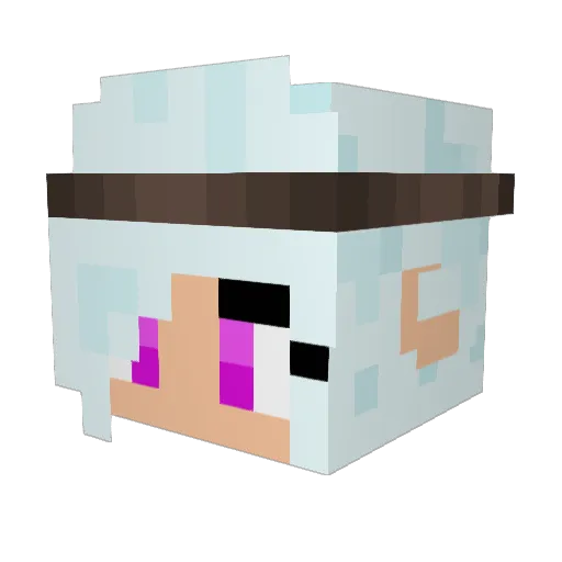 DaniStormborn Minecraft avatar head, 3D render