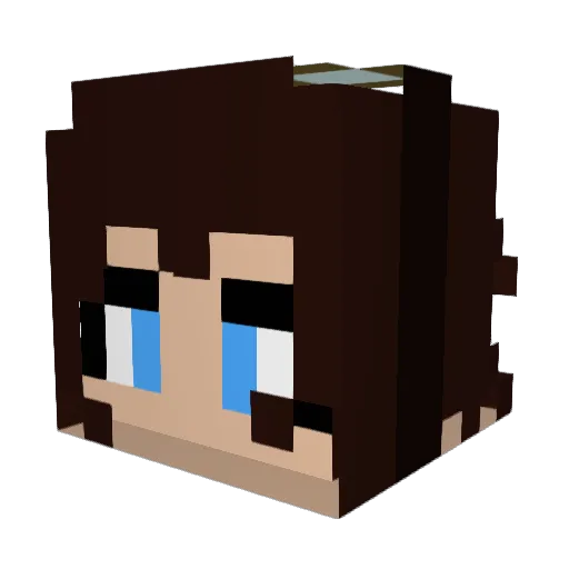 DaniSun22 Minecraft avatar head, 3D render