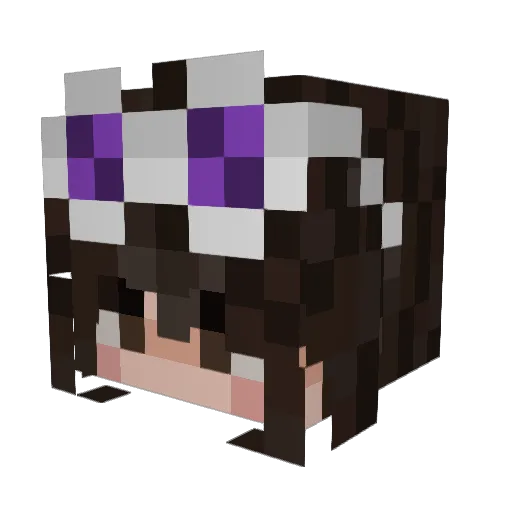 DaniWaterfalls Minecraft avatar head, 3D render