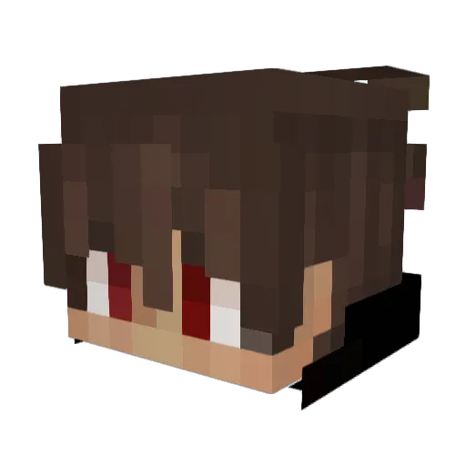 DaniX_0 Minecraft avatar head, 3D render