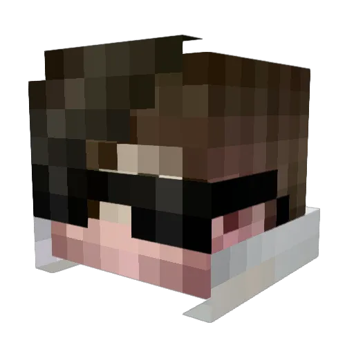 DaniZ2005 Minecraft avatar head, 3D render