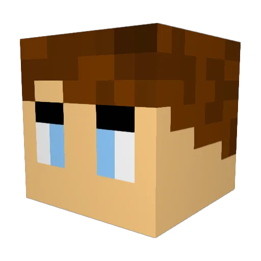 Dani_2009_ Minecraft avatar head, 3D render