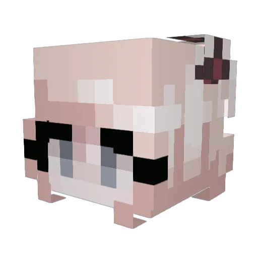 Dani_2112 Minecraft avatar head, 3D render
