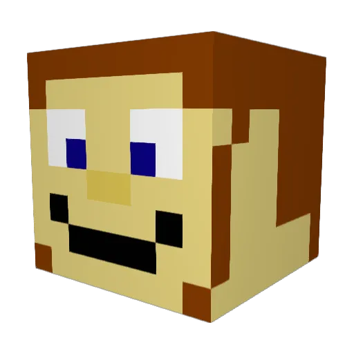 Dani_2201 Minecraft avatar head, 3D render