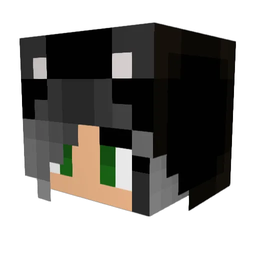 Dani_Filthette Minecraft avatar head, 3D render