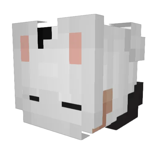 Dani_pt_br Minecraft avatar head, 3D render