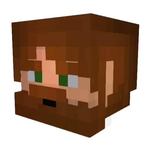 DanialFrost Minecraft avatar head, 3D render