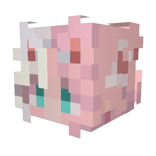 DanicaMoon Minecraft avatar head, 3D render