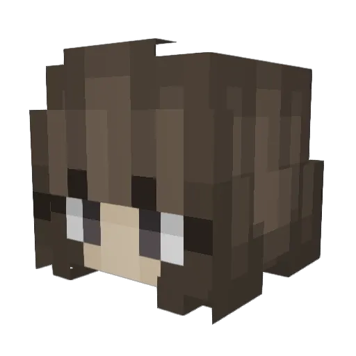 Danie5698 Minecraft avatar head, 3D render