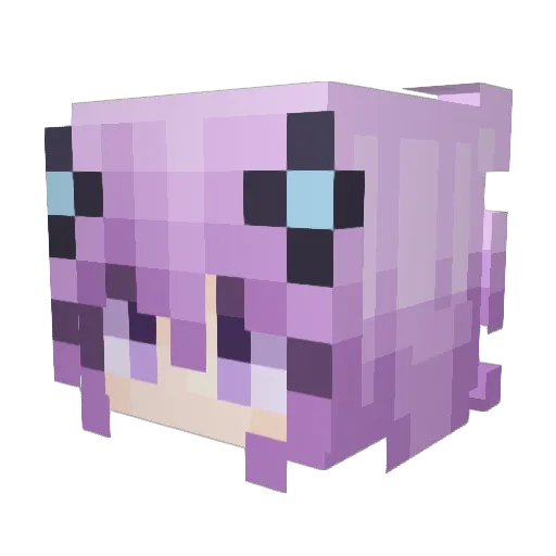 Daniel03ro1 Minecraft avatar head, 3D render