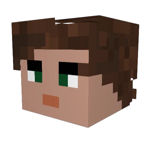 Daniel119 Minecraft avatar head, 3D render