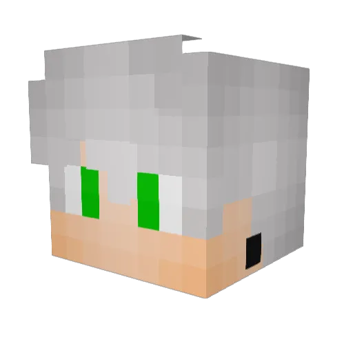 Daniel219 Minecraft avatar head, 3D render