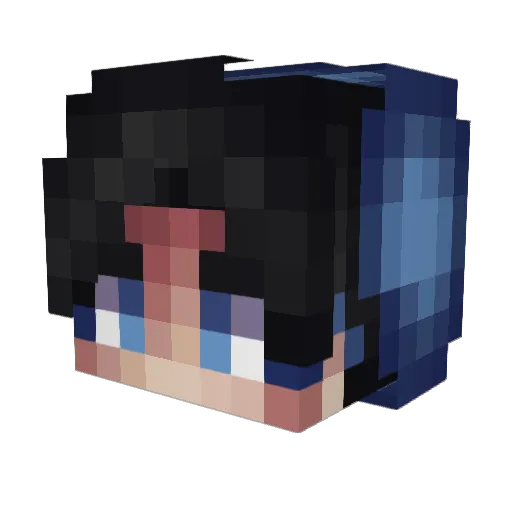 Daniel9706 Minecraft avatar head, 3D render