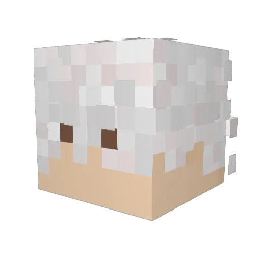 DanielG158 Minecraft avatar head, 3D render