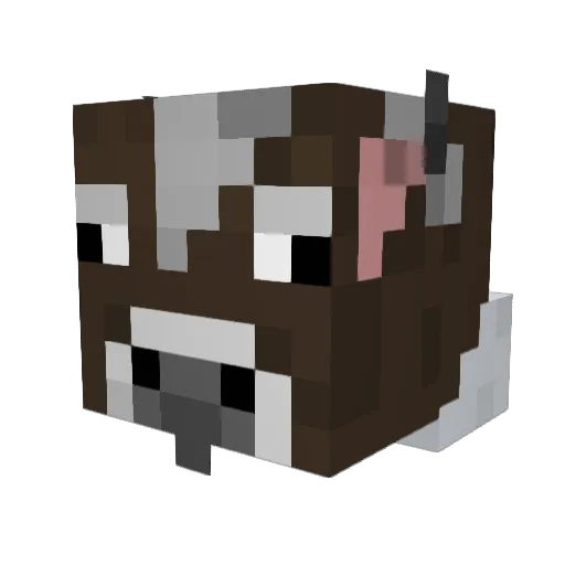 DanielLover Minecraft avatar head, 3D render