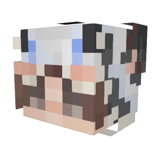 DanielTheOwner Minecraft avatar head, 3D render