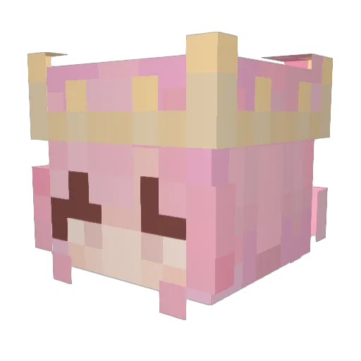 DanielTiger666 Minecraft avatar head, 3D render