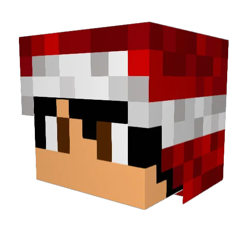 DanielWright29 Minecraft avatar head, 3D render