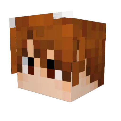Daniel_1206 Minecraft avatar head, 3D render