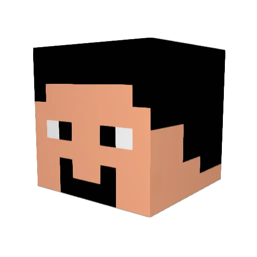 Daniel_DM Minecraft avatar head, 3D render