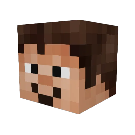 Daniel_Nolan Minecraft avatar head, 3D render