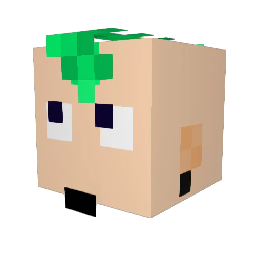 Daniel_Visk Minecraft avatar head, 3D render
