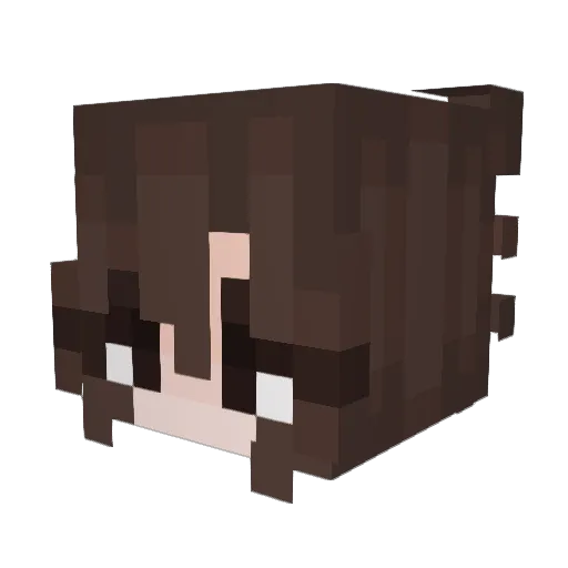 DanielaFernanda Minecraft avatar head, 3D render