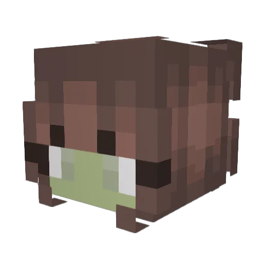 DanielaYeehaw Minecraft avatar head, 3D render