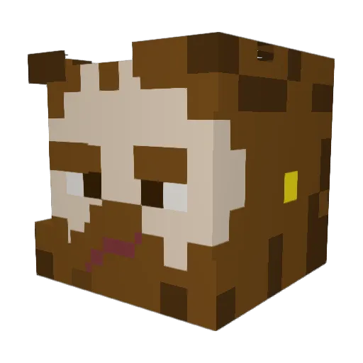Danields96 Minecraft avatar head, 3D render