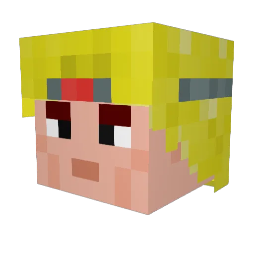 Danieldude999 Minecraft avatar head, 3D render
