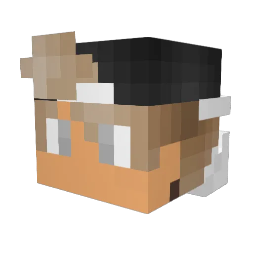 Daniele32 Minecraft avatar head, 3D render