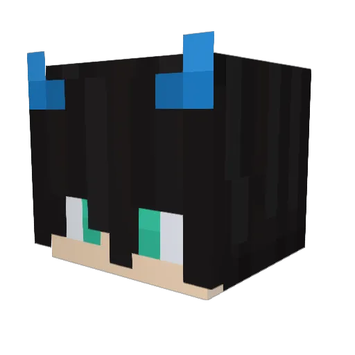 Danielgamer2532 Minecraft avatar head, 3D render