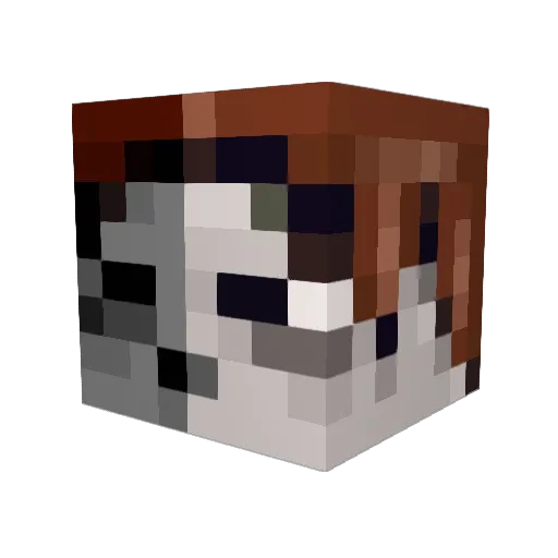Danielinmine2 Minecraft avatar head, 3D render