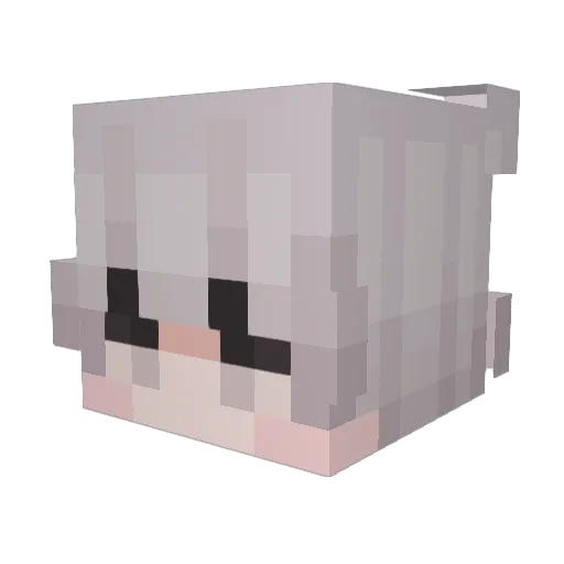Daniellaspero Minecraft avatar head, 3D render