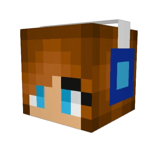 Danielle2209 Minecraft avatar head, 3D render