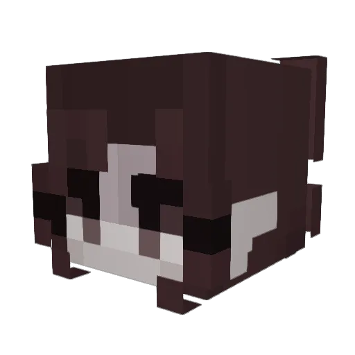 DanielleM416 Minecraft avatar head, 3D render
