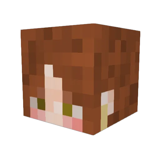 Danielleishuman Minecraft avatar head, 3D render