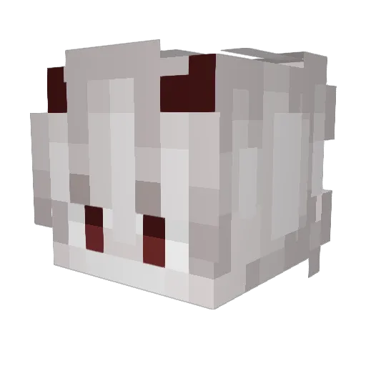 Danielrrguez Minecraft avatar head, 3D render