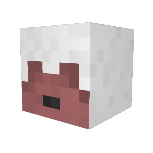 DanielsPlayer Minecraft avatar head, 3D render