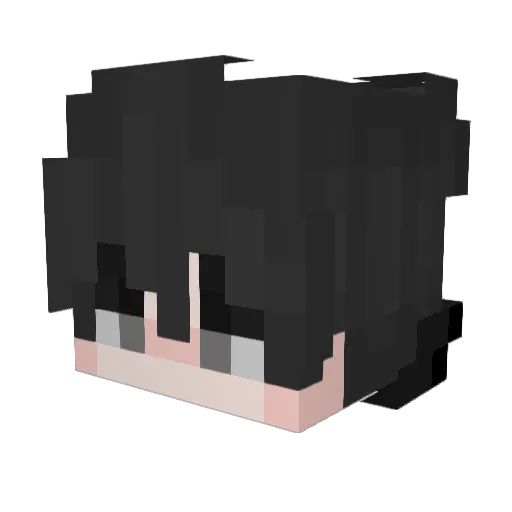 Daniels_YT Minecraft avatar head, 3D render