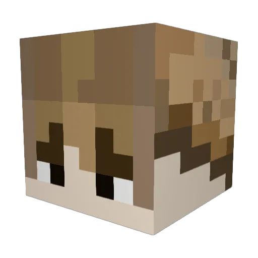 Danielson095 Minecraft avatar head, 3D render