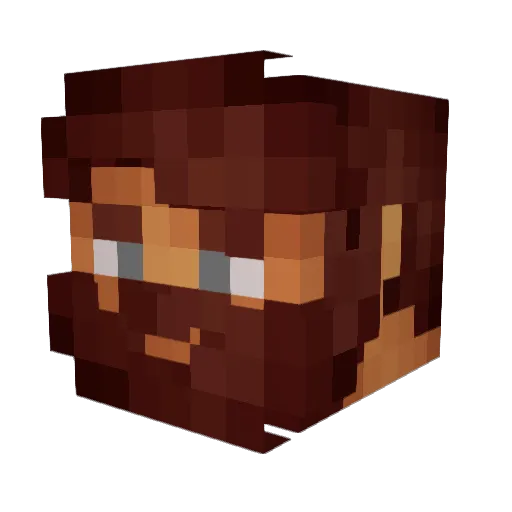 Danielson230 Minecraft avatar head, 3D render