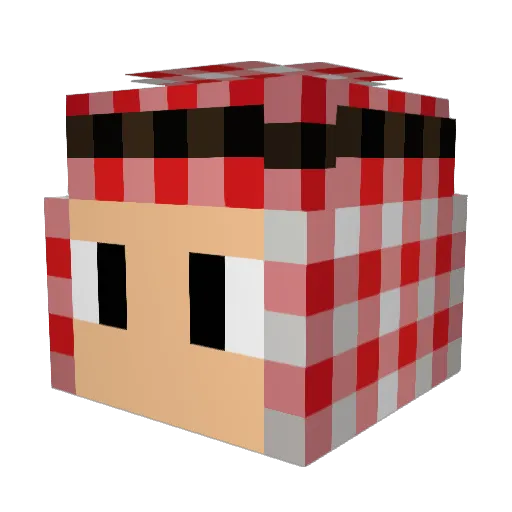 Danielson_333 Minecraft avatar head, 3D render