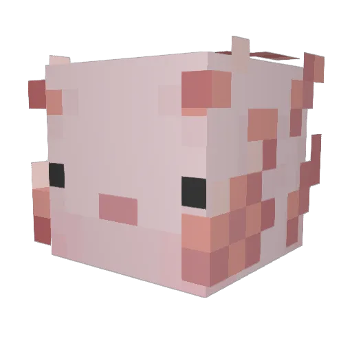 DanieltheAxolotl Minecraft avatar head, 3D render