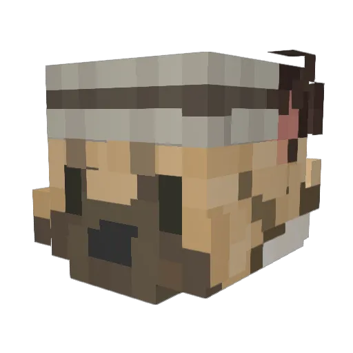 DaniiDani Minecraft avatar head, 3D render