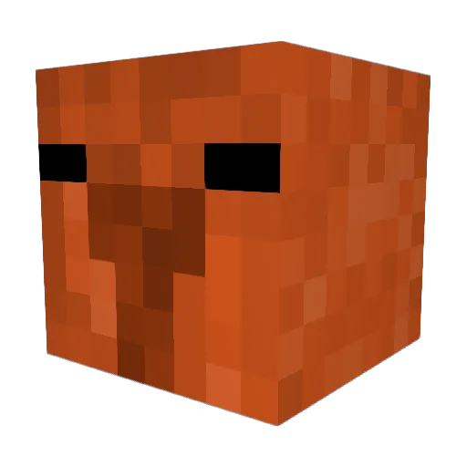 Daniiel0 Minecraft avatar head, 3D render