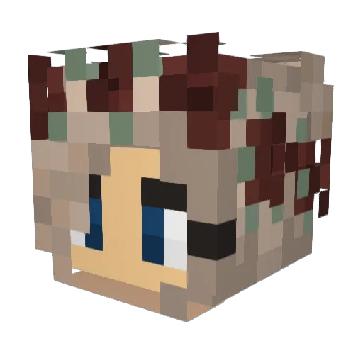 Danika3029 Minecraft avatar head, 3D render