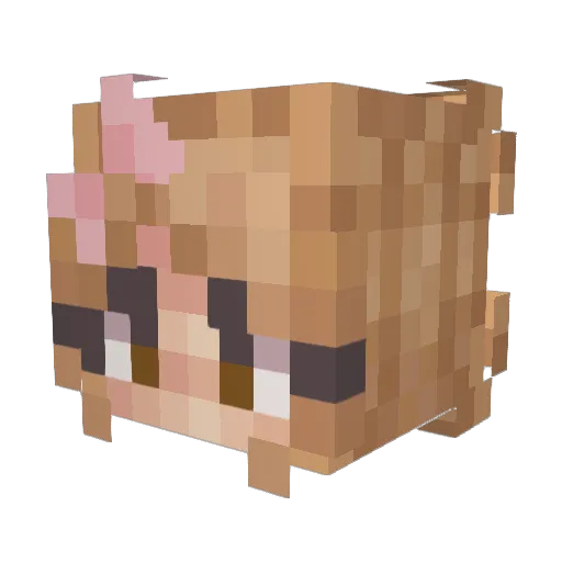 Danikitas Minecraft avatar head, 3D render